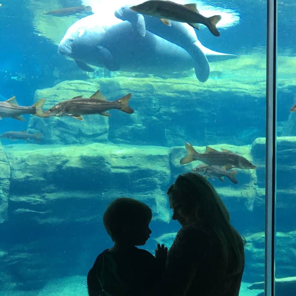 Meet your Posher, Dana